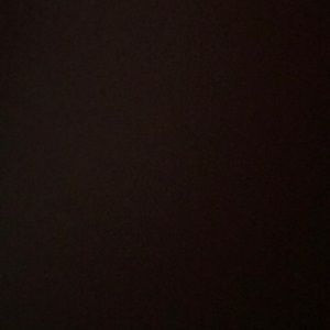 My Michael Kors Backpack or Coach Watch